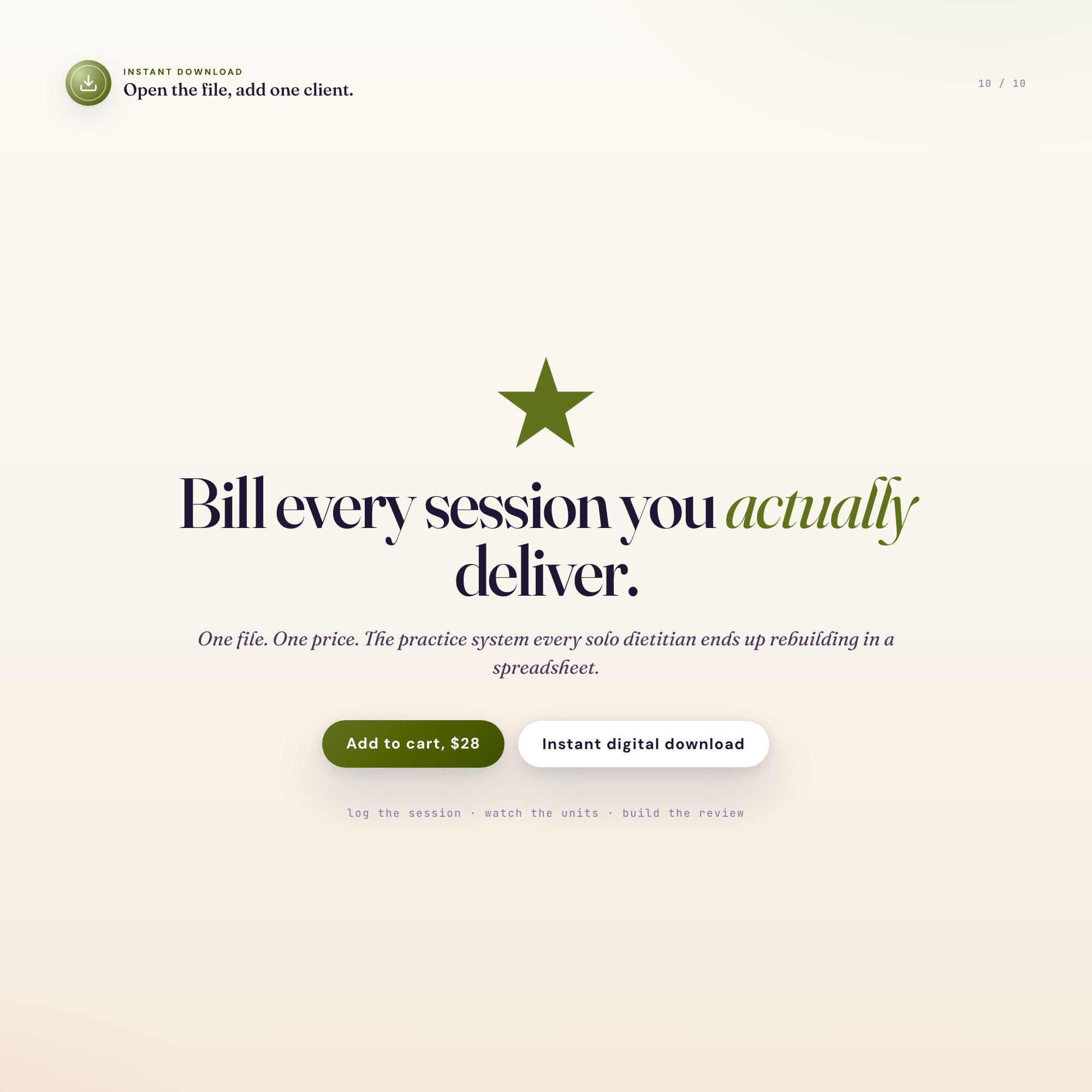 Dietitian private practice OS instant digital download, one file for nutrition sessions and superbills
