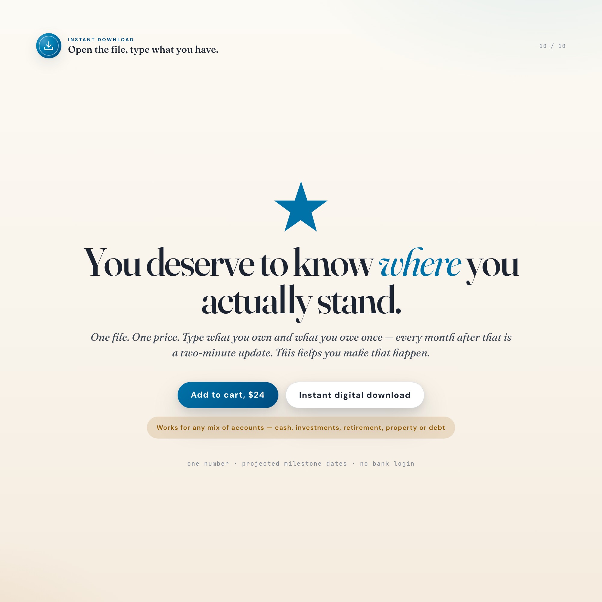 Instant download net worth tracker, one HTML file, type what you own and what you owe
