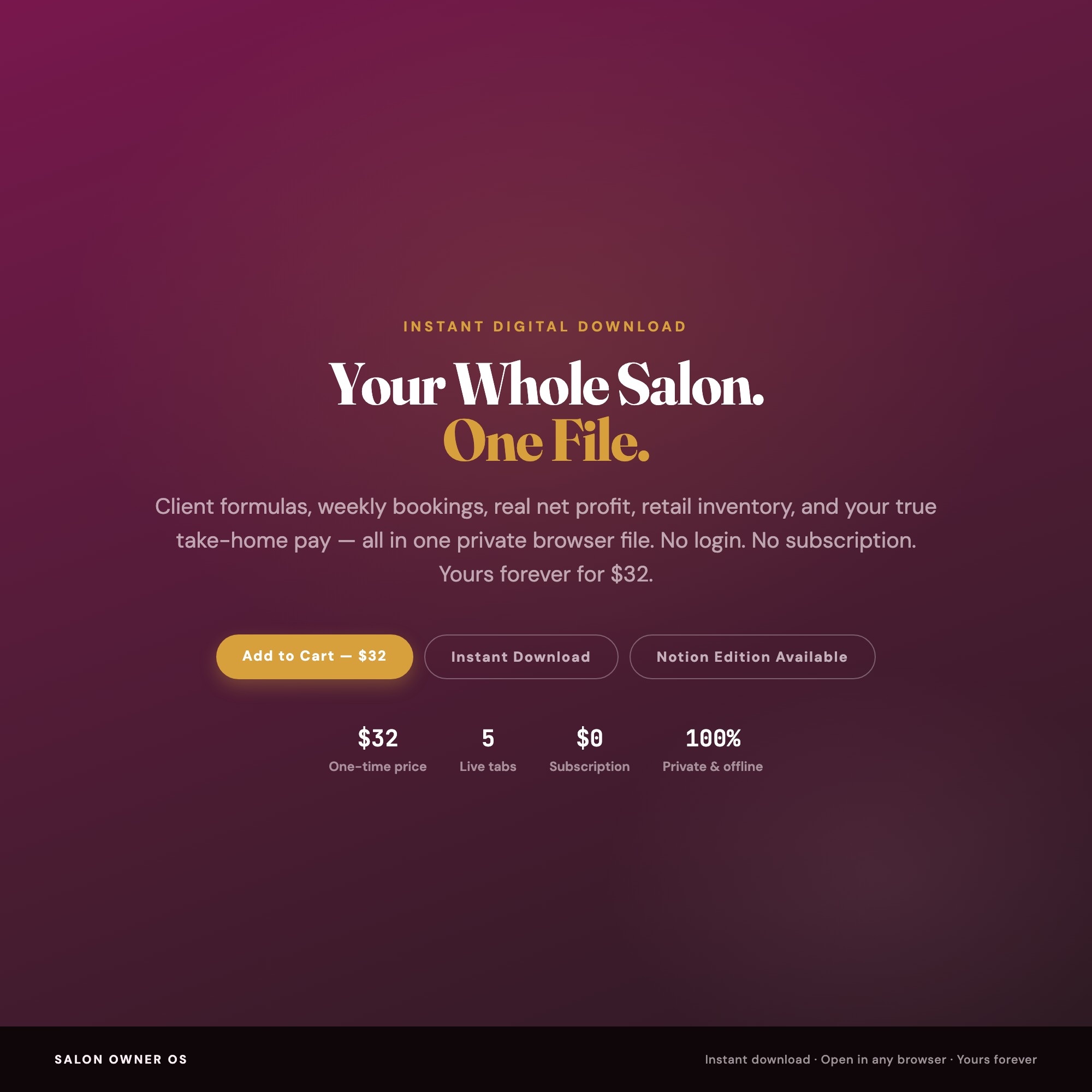 Salon Owner OS, Interactive Salon Business Planner, Hair Salon Bookkeeping, Client Formula Book, Income Tracker, Take-Home Pay Calculator — image 10